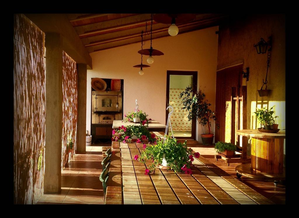 Agriturismo San Giusto Монтиано Екстериор снимка