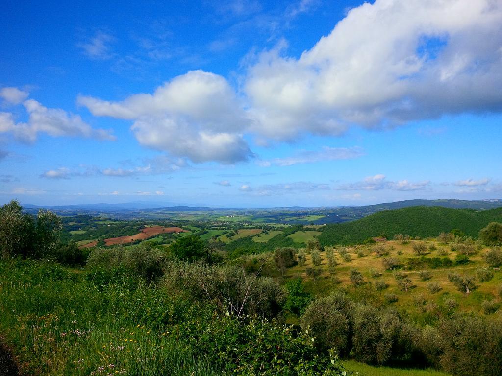 Agriturismo San Giusto Монтиано Екстериор снимка