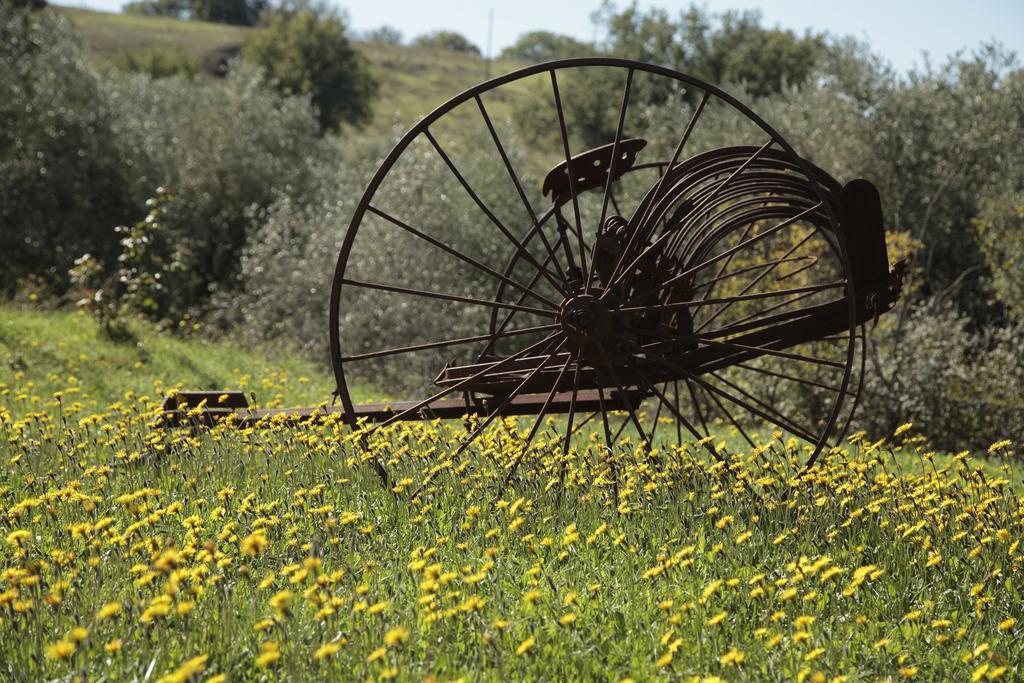 Agriturismo San Giusto Монтиано Екстериор снимка